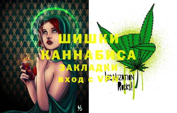 дживик Каменка