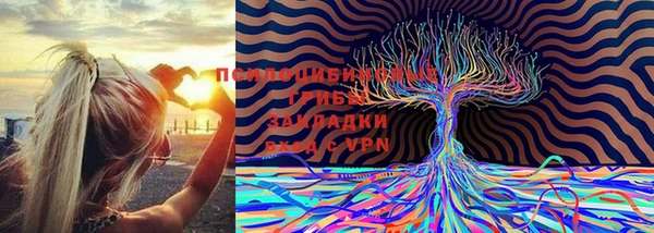 первитин Каменск-Шахтинский