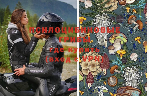 дживик Каменка