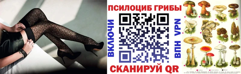 Купить  Тихорецк  Псилоцибиновые грибы Cubensis 